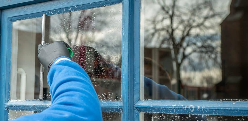 Professional Window Cleaner